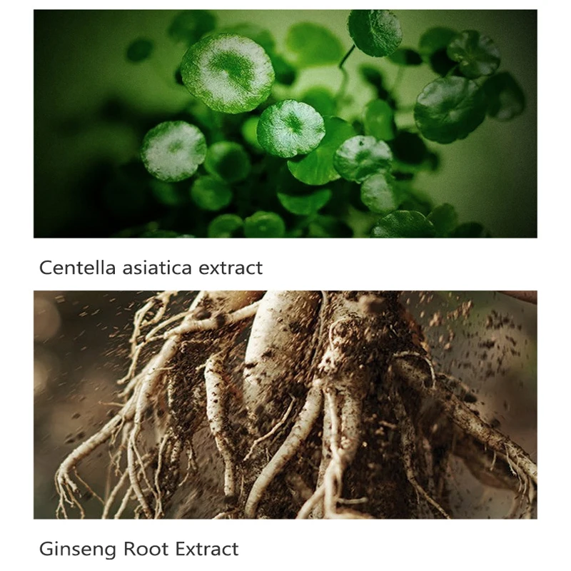 Экстракт Календулы Красота без утеплителя Водонепроницаемая кожаная увлажнение