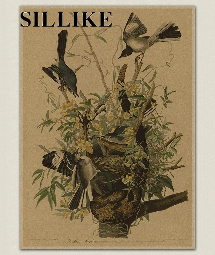 

Vintage Bird Canvas Print Audubon Bird Posters Pink Flamingo Snowy Owl Blue Heron White Egret Canvas Painting Wall Art