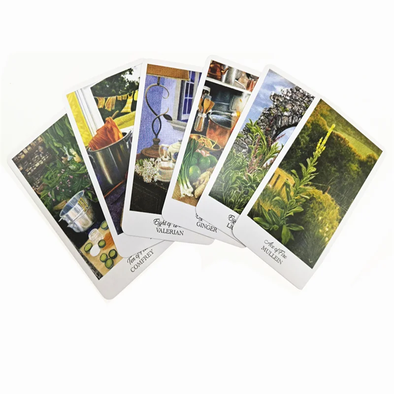 

NewSpiritual herbs Tarot Deck Women Girls English Board Game