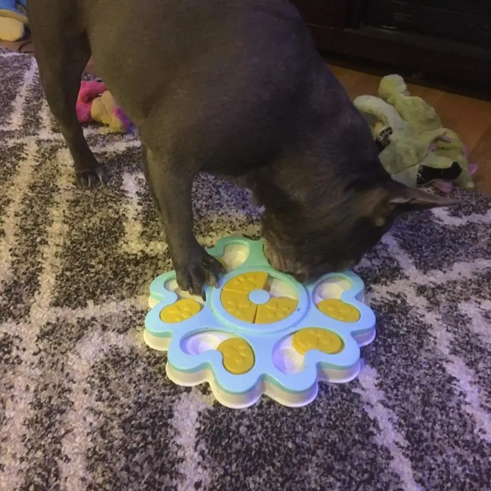 Игрушки-головоломки для собак интерактивные игрушки интересный не скучный