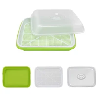3 pack seed sprouter tray soil free big capacity healthy wheatgrass grower sprouting container nursery pots kit with lid