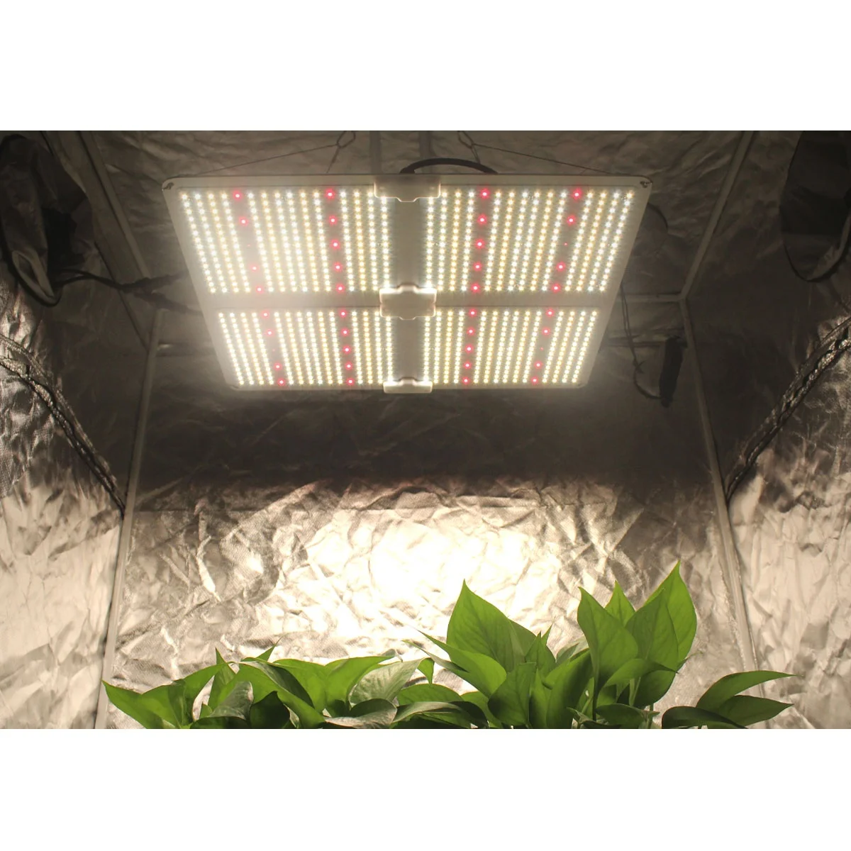 

led grow light square board 480w 3000k 3500k 4000k 5000k indoor grow light for hydro garden