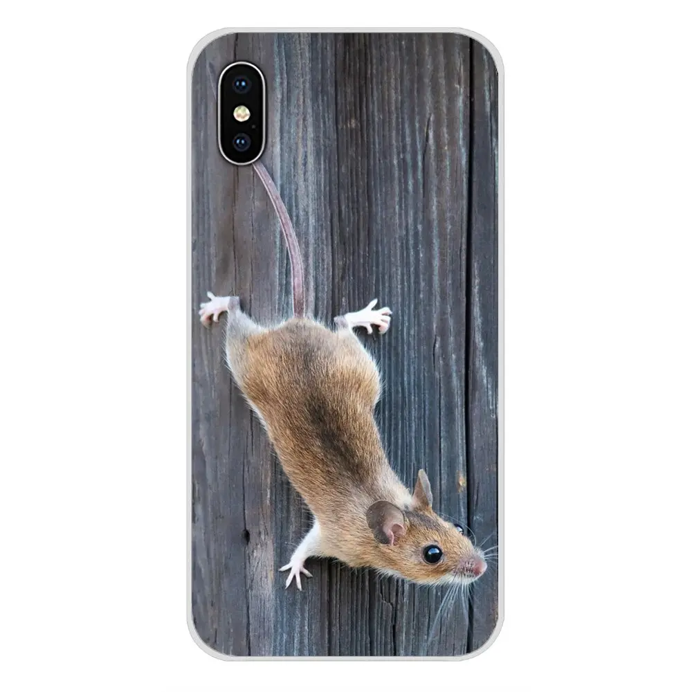 Крысиные очки для Oneplus 3T 5T 6T Nokia 2 3 5 6 8 9 230 3310 1 7 Plus 2017 2018 аксессуары чехлы телефонов |