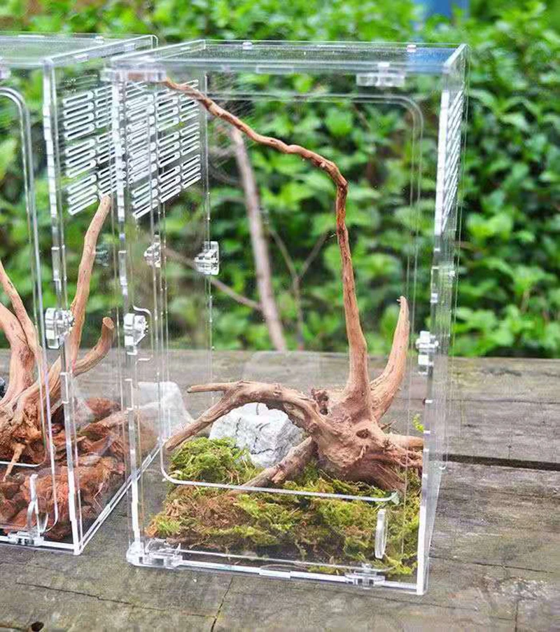 Acrylic Reptile Cage Breeding Box Spider Lizard Scorpion Centipede Horned Frog Gecko Beetle Insect Cage (15 * 15 * 25cm)