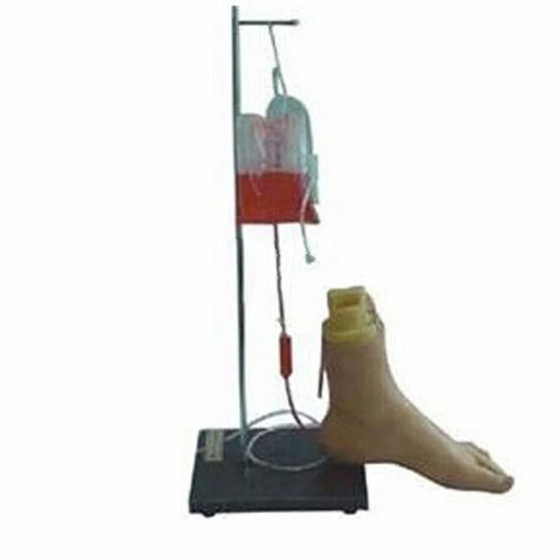 

Foot Intravenous Injection Model Medicine Student Medical Science Education Teaching Tools Equipment BIX-H48