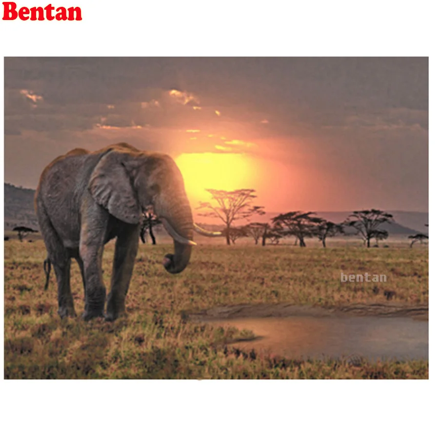 

5D Diamond Embroidery Full square drill New Arrival Sale Africa elephant sunrise landscape Diamond Painting Diamond Mosaic art