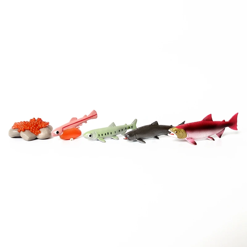 Реалистичный жизненный цикл лосося 5 отдельных кусочков роста Модель Статуэтка