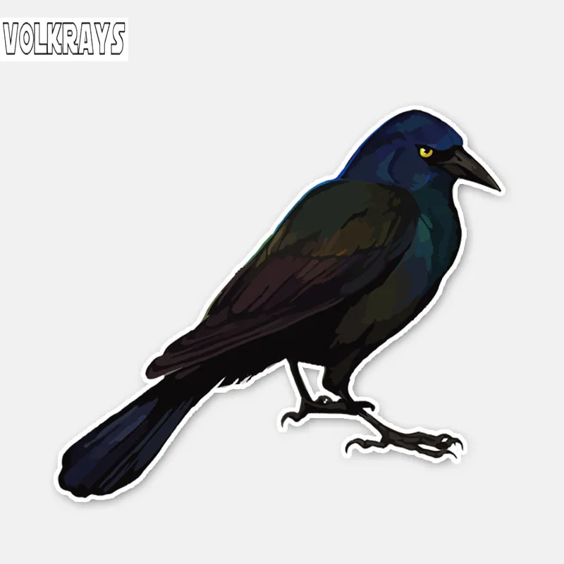 Volkrays индивидуальная наклейка для автомобиля таинственная ворона декоративные