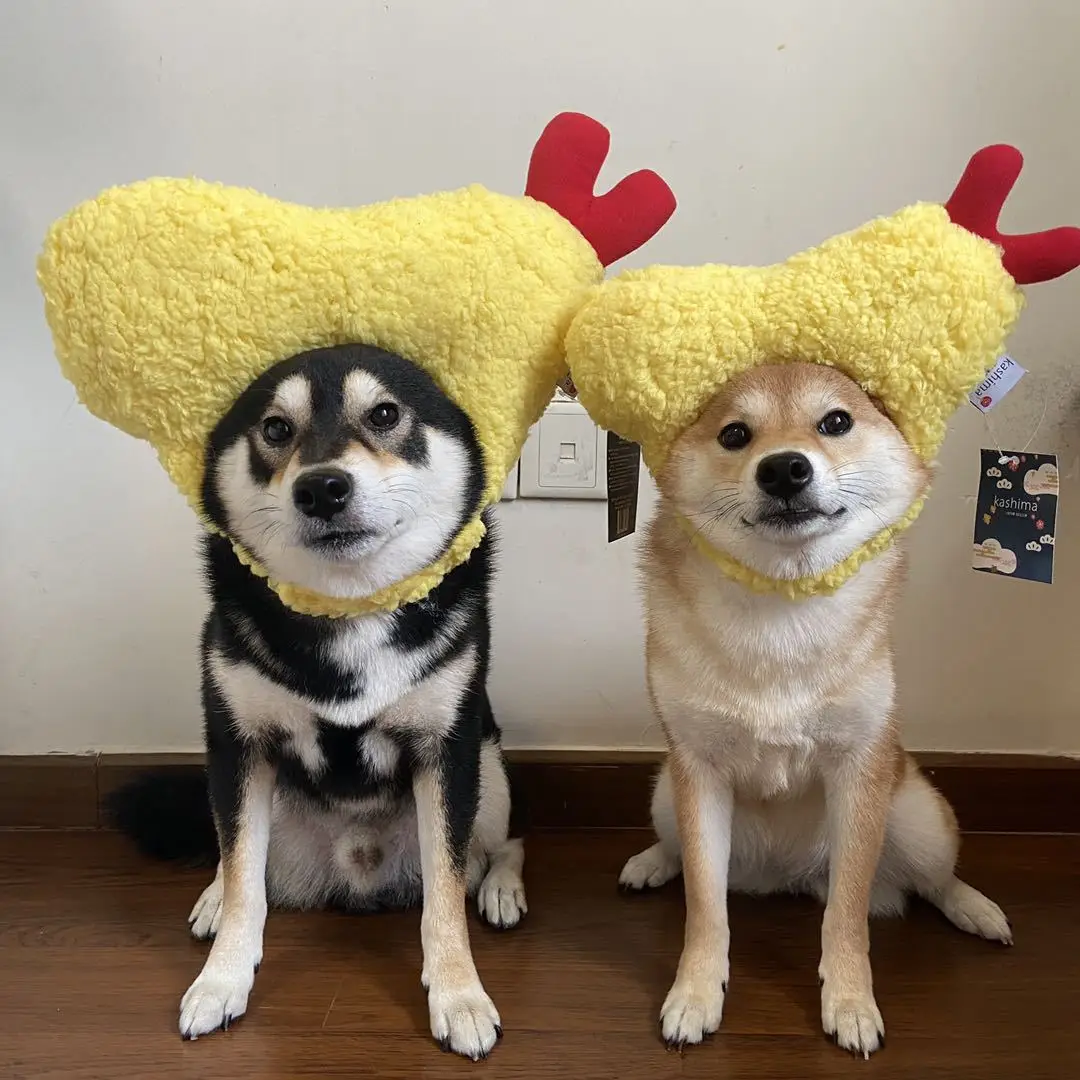 

Creative Tempura Pet Hat Lovely Fried Shrimp Hat Interesting Headgear Accessories Plush Rabbit Ears Dog Cat Hat