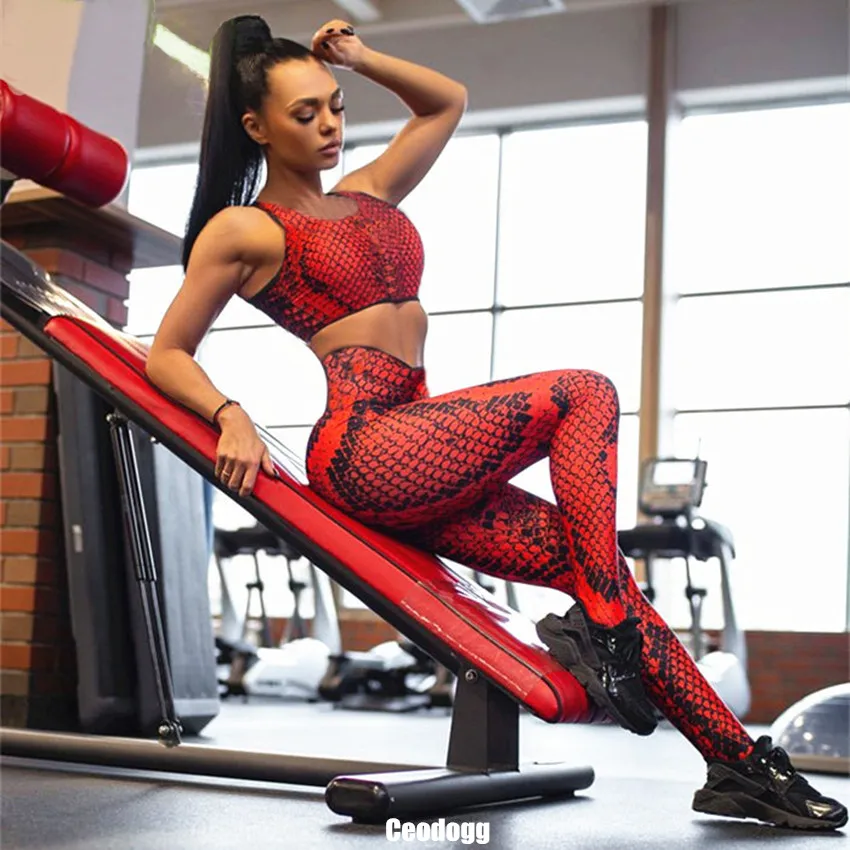 

Pad Snake skin women yoga set seamless elastic breathable sport tracksuit for fitness gym clothing running sportwear Yoga Suit