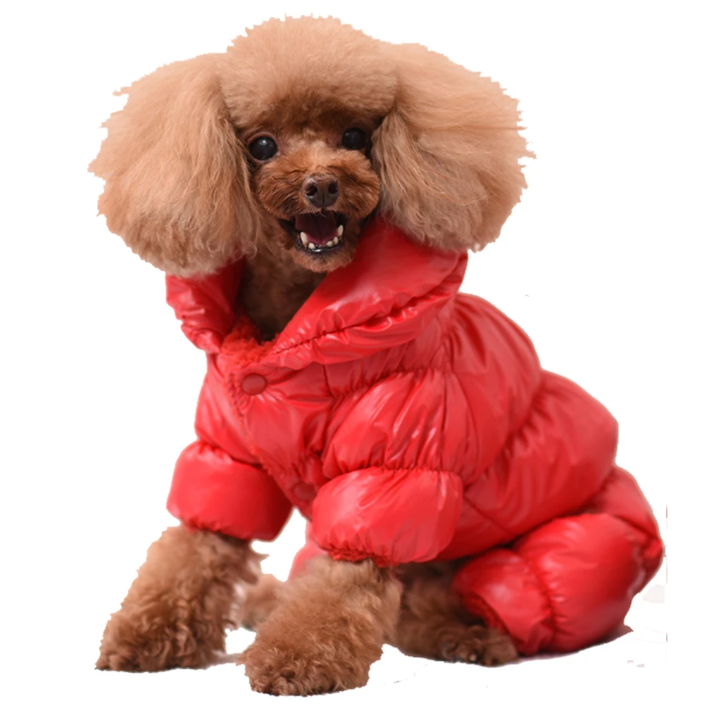 

Luxury Brand Dog Clothes 2021 Winter Jacket For Pets Waterproof Design Kawai Coat Warm Clothing Bulldog Hoddies Supply Costumes