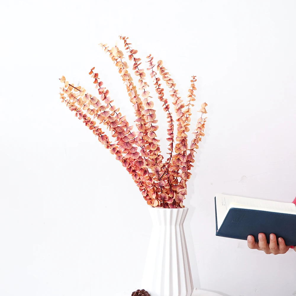 Фотообои для свадебного украшения вечные растения листья эвкалипта монет вечный