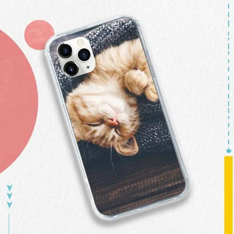 

cat cute animal Phone Case for iPhone 11 12 pro XS MAX 8 7 6 6S Plus X 5S SE 2020 XR