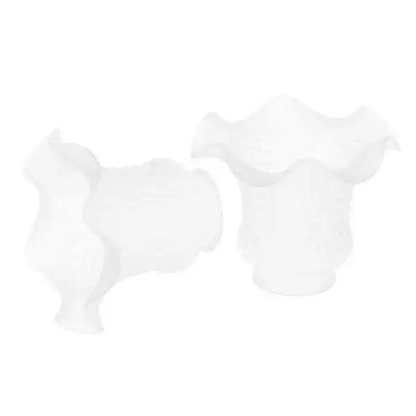 

2x2pcs E27 Modern Flower Shape Clear Glass Ceiling Fan Lights Lampshade