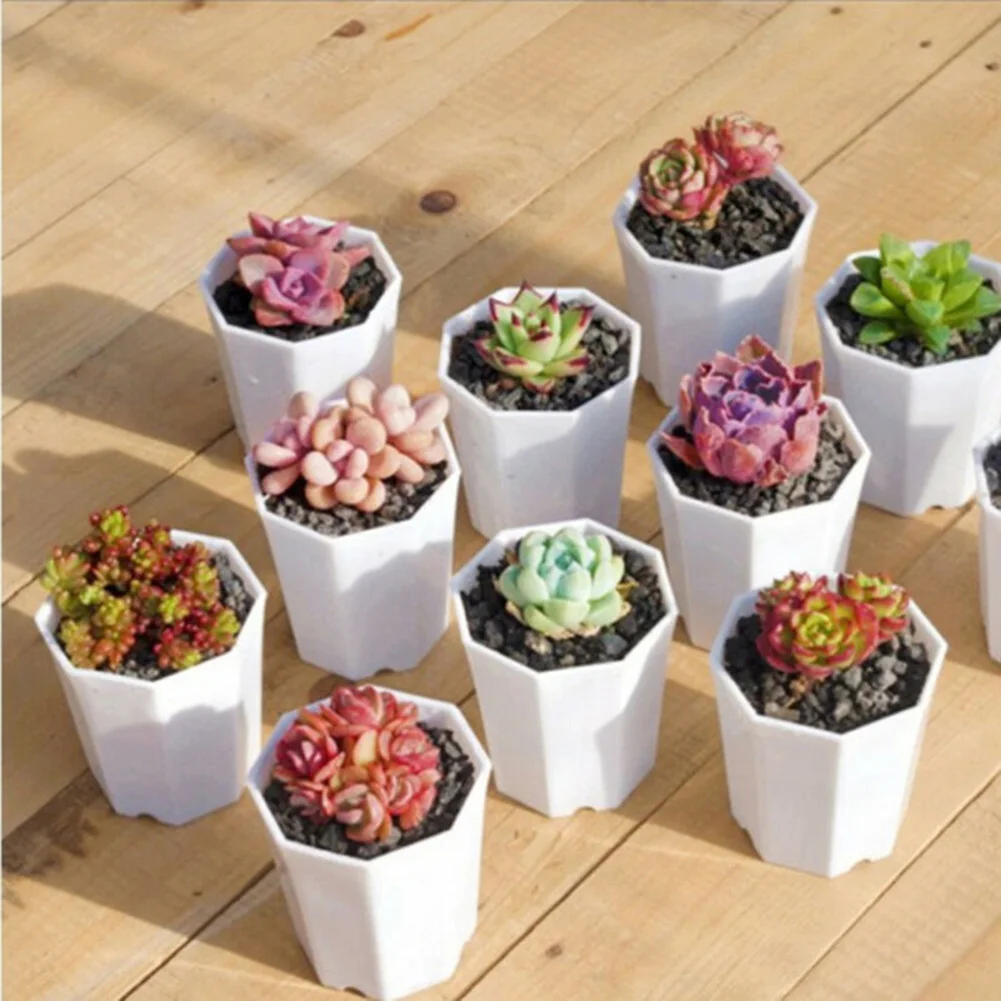 

Container Flower Pots Garden Planter 7.2 x 6.8 x 5 cm Patio Cacti Mini