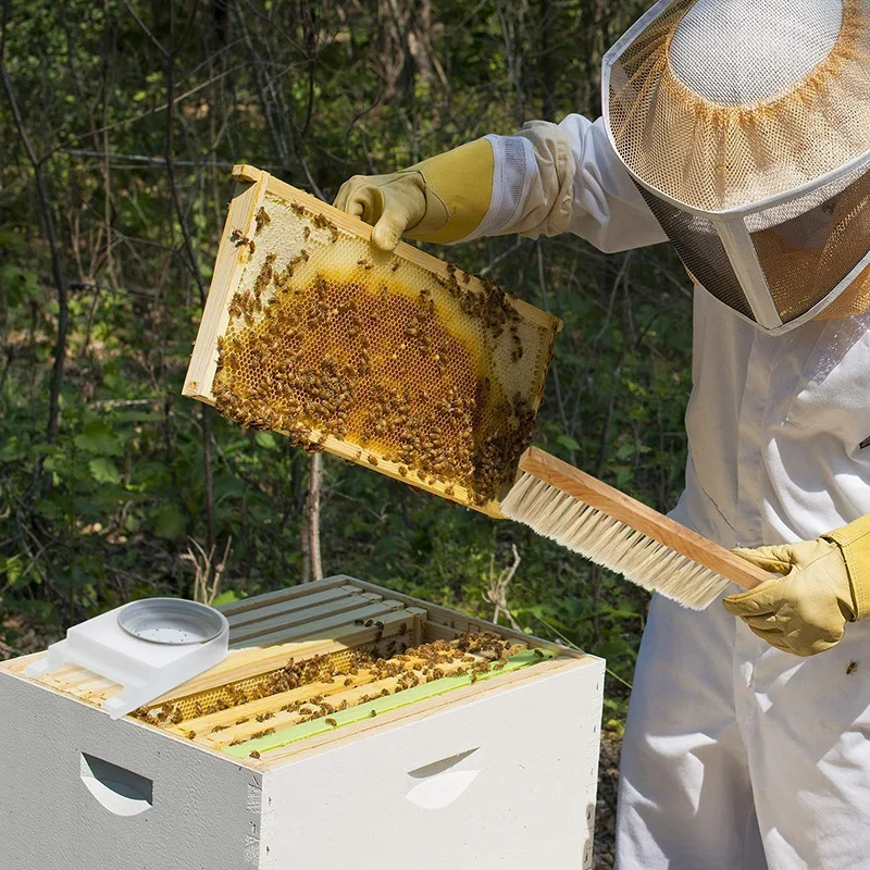 Инструмент для улей щетка пчелы расческа воск скребок извлечение вилки пищевой