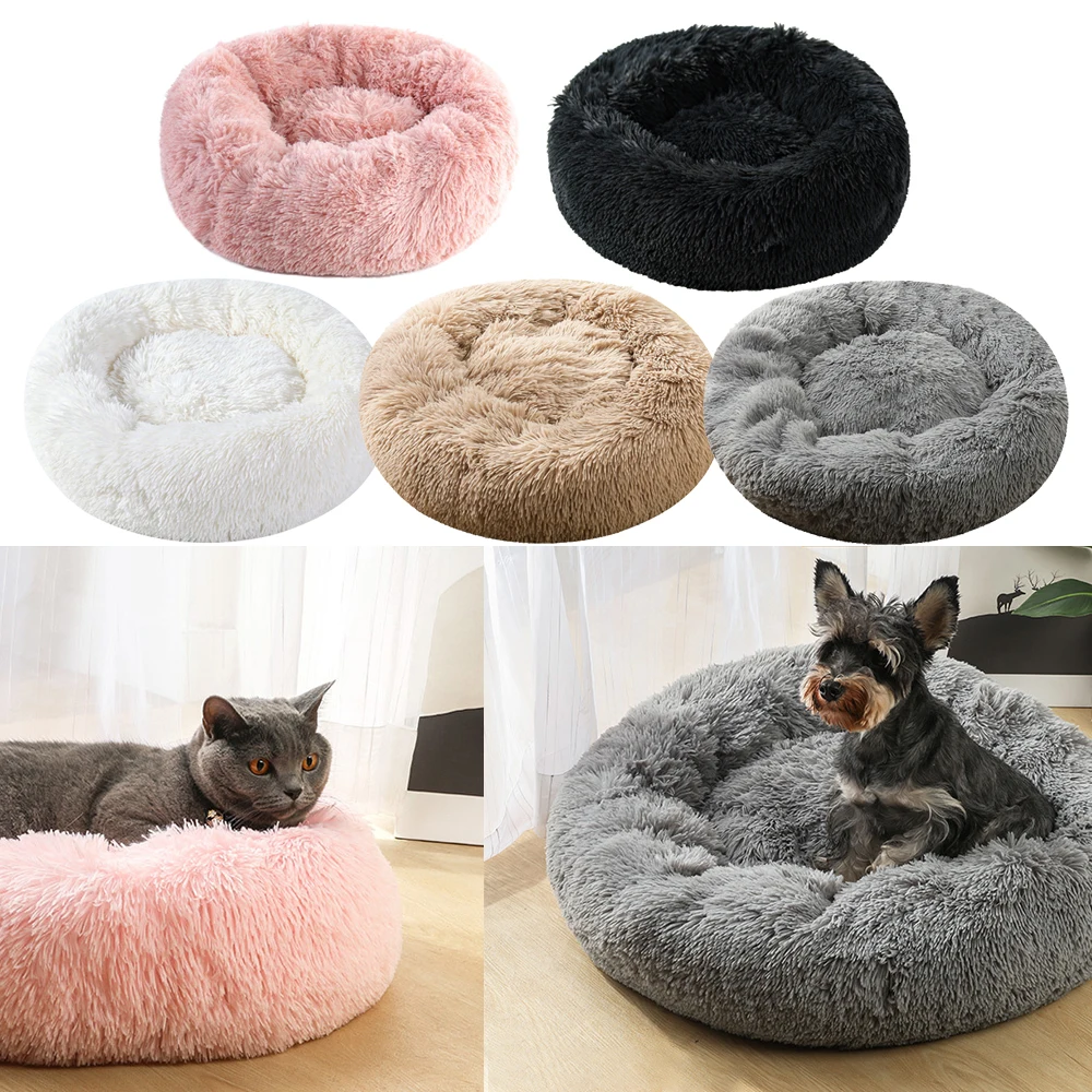 

Pet Products