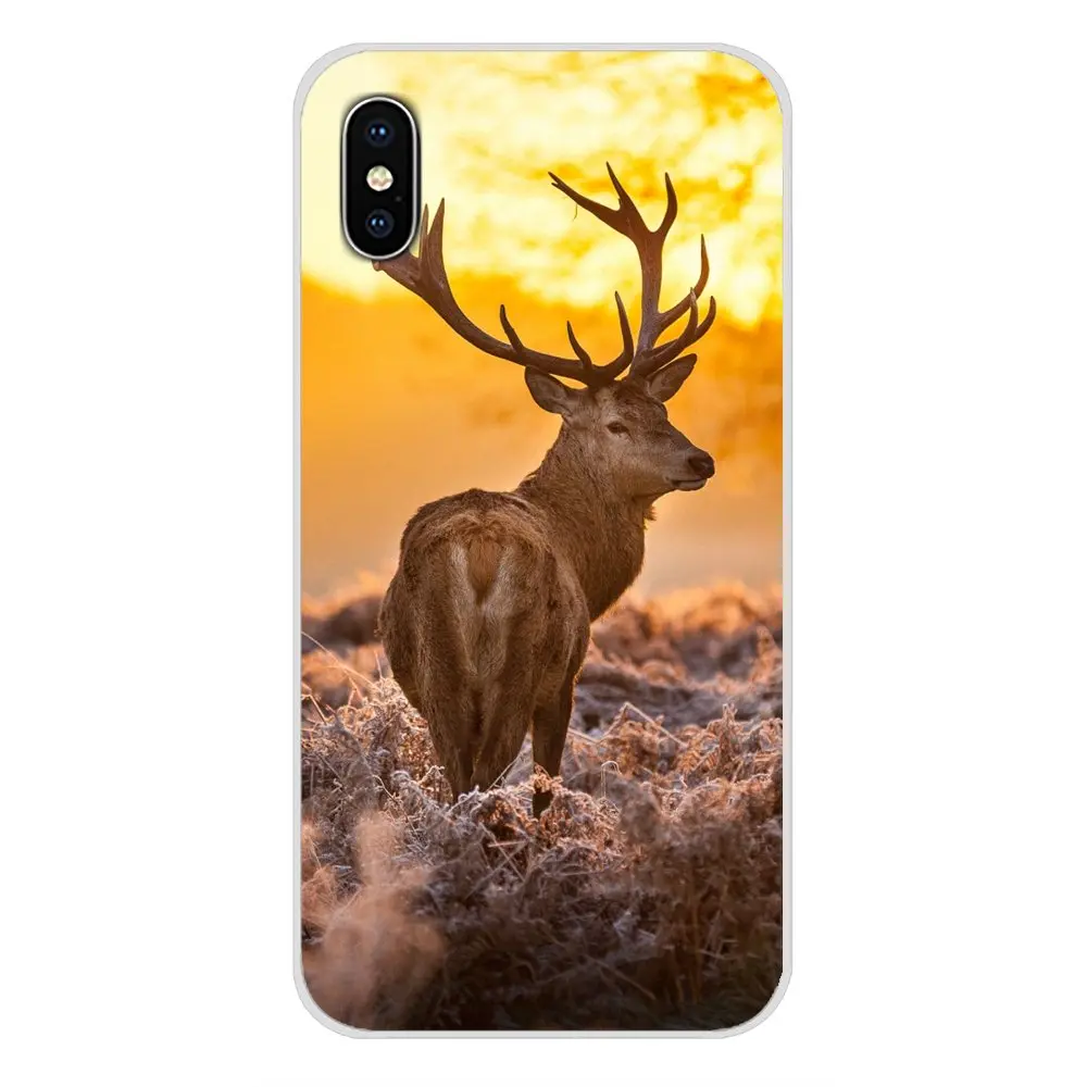 images 6 Для Apple IPhone X XR XS 11Pro MAX 4S 5s 5C SE 6S 7 8 Plus ipod touch 5 6 Browning для охоты на оленя ГОЛОВА ТПУ прозрачные чехлы - Цвет: images 6