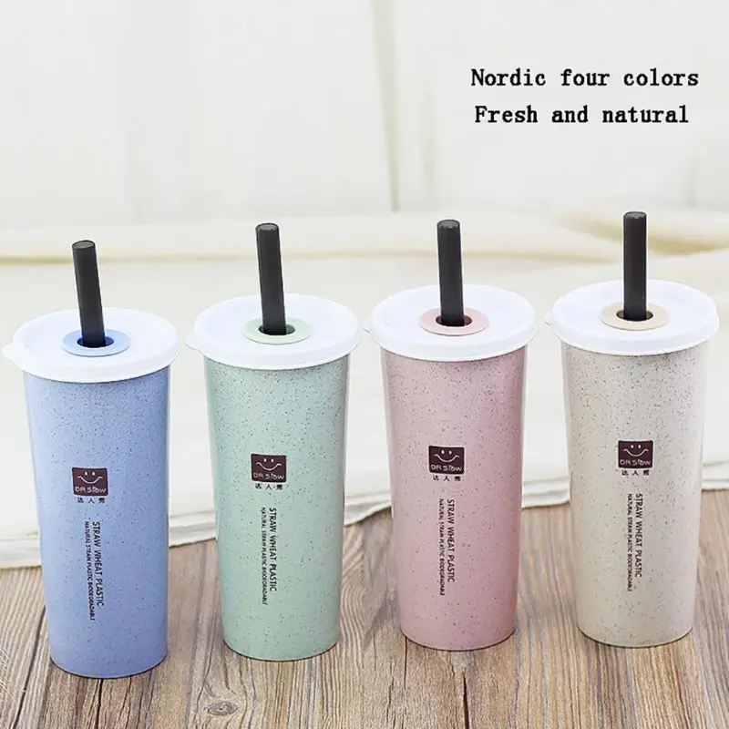 

450ml Reusable Straw Cup With Double Covers Water Bottle Straw Sippy Cup Juice Drinking Straw Tea Beverage Cup Nordic Style