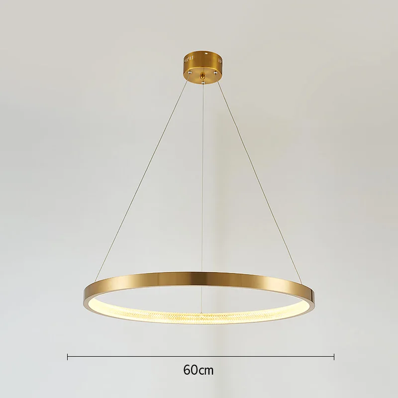 Dia 60CM Inside FSS, Современная круглая Круглая Люстра, освещение, золотые люстры, круговая Геометрическая креативная лампа, светодиодные светильники для внутреннего освещения - Цвет абажура: Dia 60CM Inside