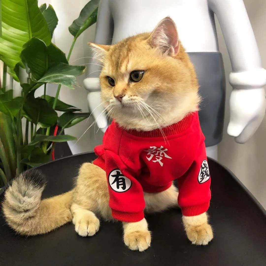 

Pet Cat Clothes Plush Anti Shedding Cat Hoodies Cotton Soft Sweater Costume Printed Spring Autumn Sweater Round-collar