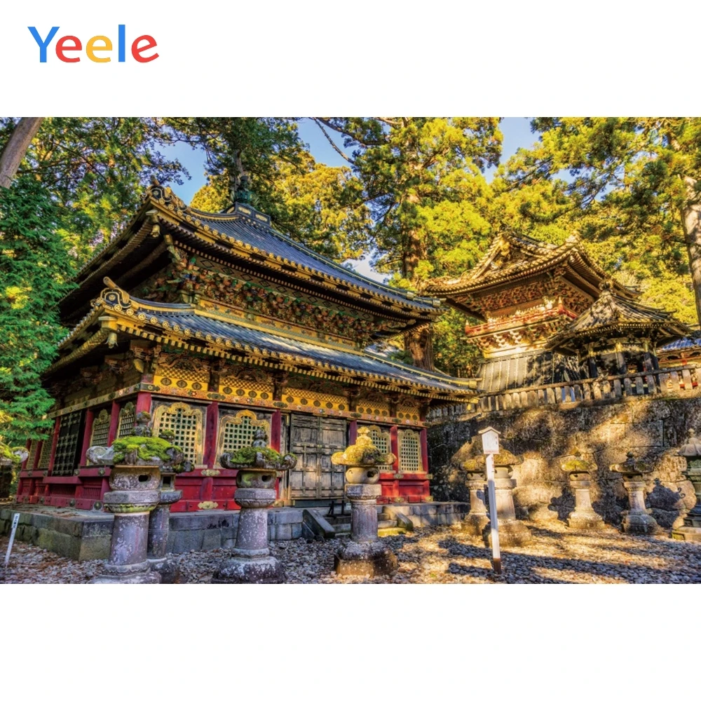 Фон для фотосъемки Yeele с изображением пейзажа древней древесины храма леса