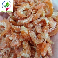 sea shrimps shrimps dried seafood live shrimps are naturally dried