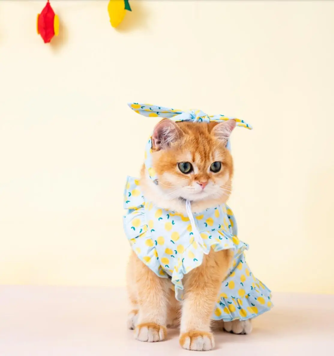 

Cat Costumes Puppy Kitten Cute Hoodies Soft Puppy Cat Apparel