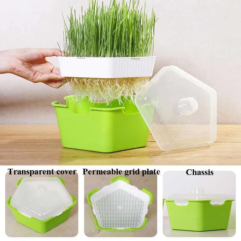 

Seed Starter Green Tray Seed Sprouter Tray Double-layer Soilless Germinator tray Sprouts Box Culture Seeds Hydroponic Nursery