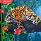 HUACAN вышивка Алмазная картина леопардовая полная дрель ручная картина Стразы Бриллиантовая мозаичная фигурка животного украшение для дома