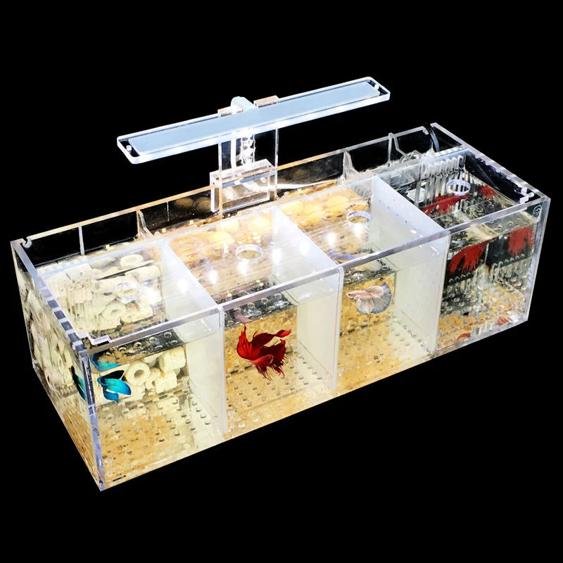 Креативная изоляционная коробка для мелких рыбок разведения акриловый