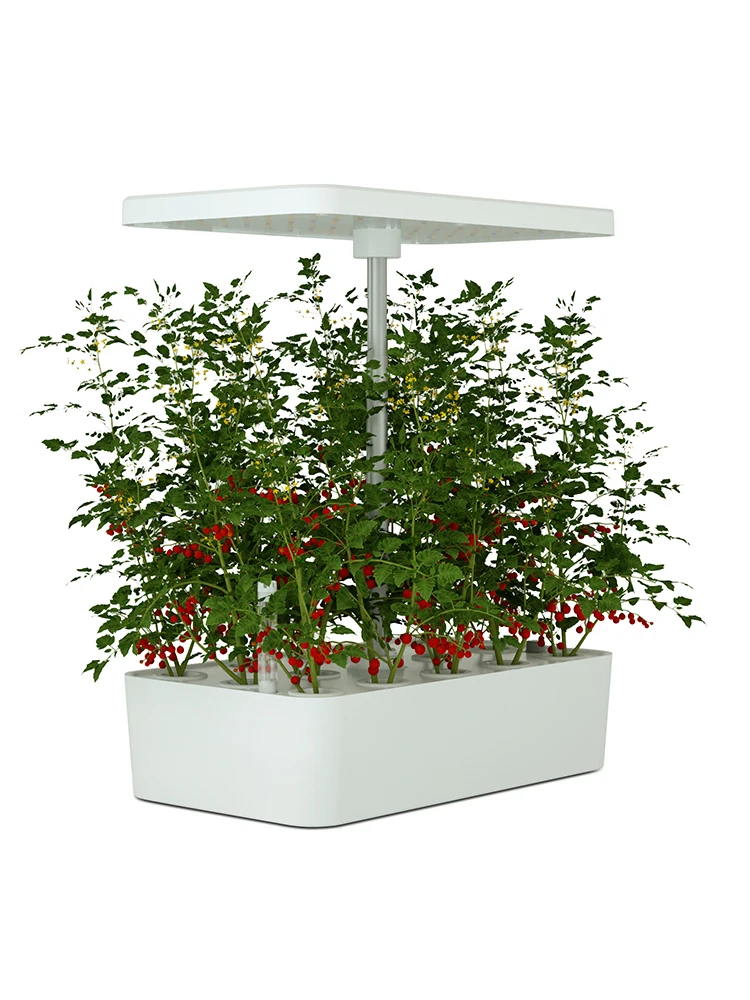 

Smart Plant Watering Hydroponic Mini Indoor Smart Garden Pot for Plant Growing