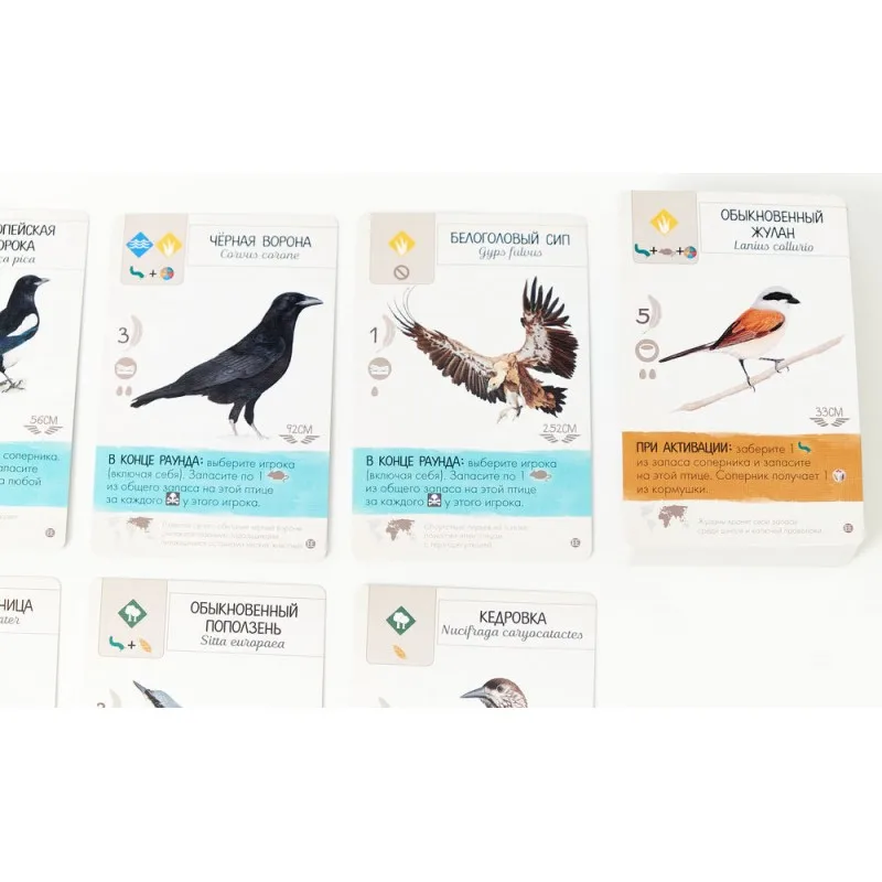 Крылья птицы европы. Крылья птицы европы. Крылья птицы европы. Настольная игра про птиц крылья. Настольная игра про птиц крылья.