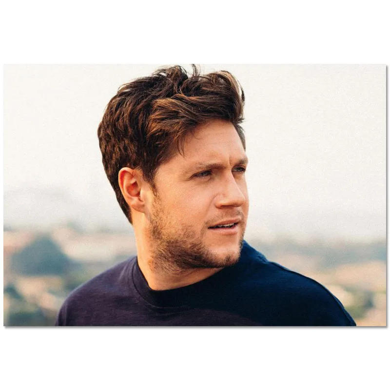 Плакаты в стиле хорана Singer Niall настенное художественное украшение Современное