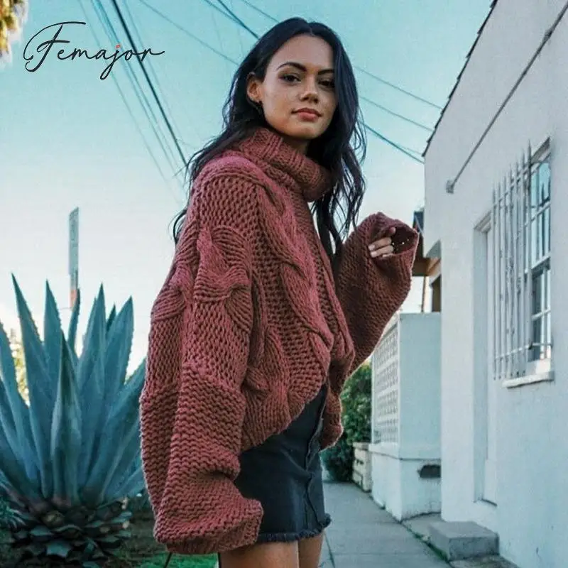 Femajor женские осенние зимние коричневые джемперы свитер женский 2019 мода Водолазка