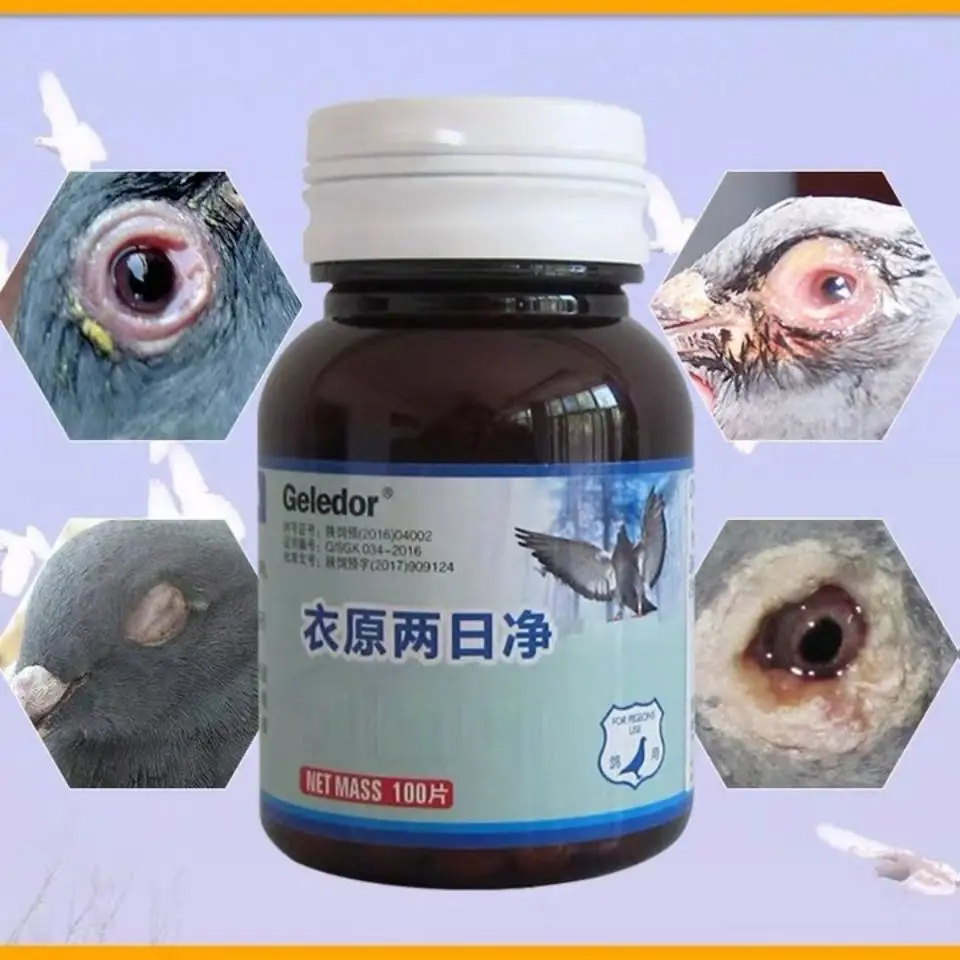 

Pigeon Chlamydia Two Days Net Single Eye Cold Cough Not Flying Throat Infection Thick Phlegm 100 Tablets