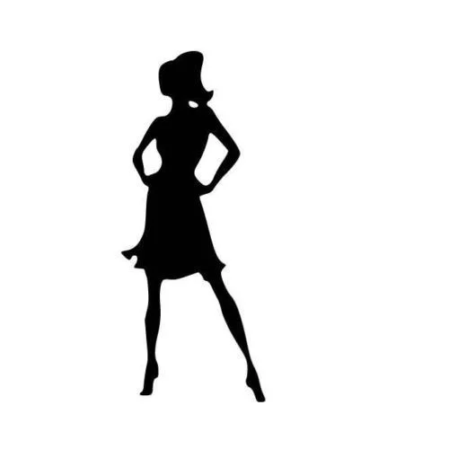 FUNKY LADY постоянный наклейка на компьютер стикер ()|Наклейки для творчества| |