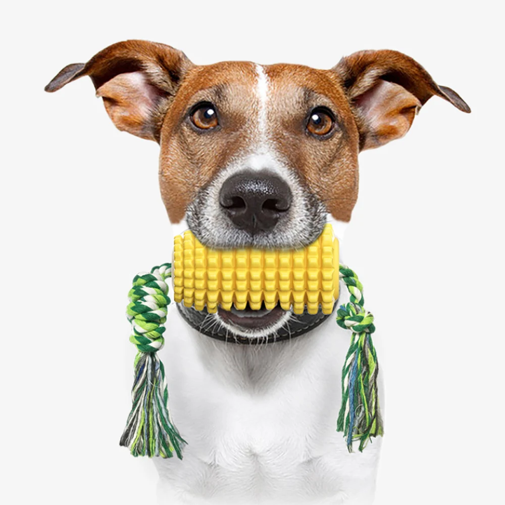 

Pet Products Cute Dog Chew Toys for Dogs Aggressive Chewers Chewing Toys for Small Large Dogs Toys Toothbrush Corn 2021 NEW