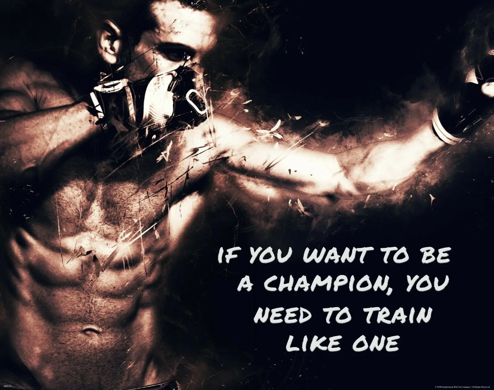 Train Like Quote MMA Boxing Gym Motivational Art Silk Poster Print 24x36inch