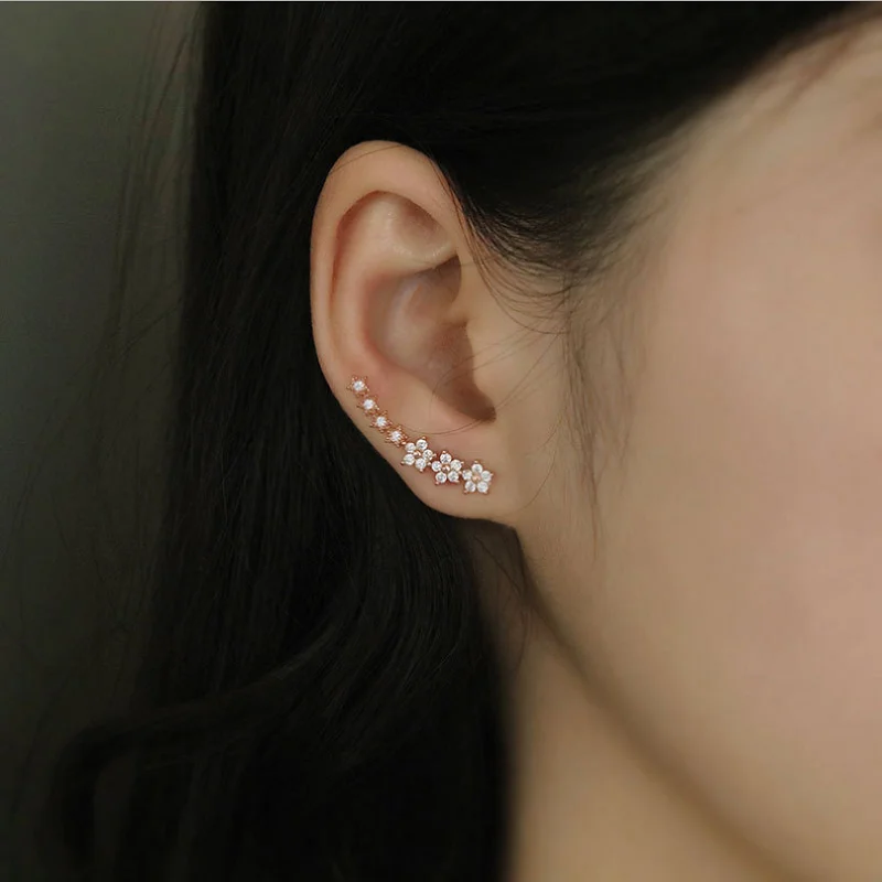 

S925 Sterling Slver Diamond Earrings Temperament Earrings Female Day Cute Earrings Internet Celebrity Jewelry Earrings