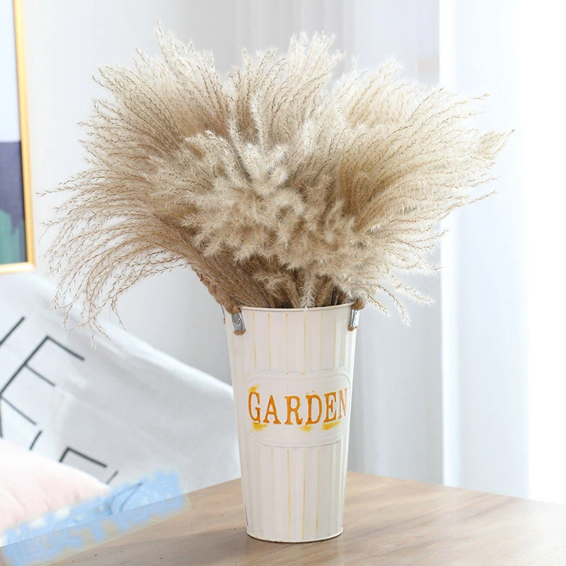 Настоящая сушеная пампасная трава свадебный цветок букет натуральные растения