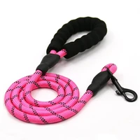 luminous beautiful 1 5m nylon safety buckle dog pet leash