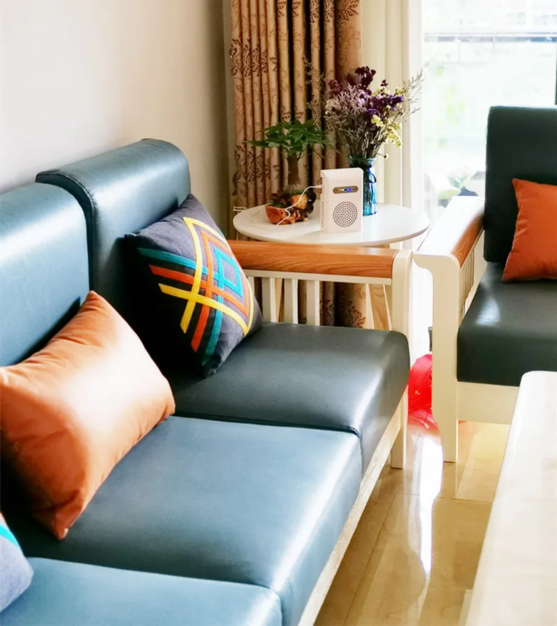 

OZOTEK Ozone Generator for Room Cleaner Person AP200 200mg/L Free Shipment