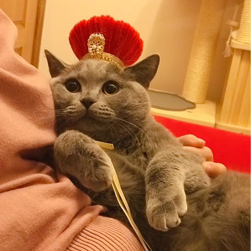Шляпа императорского дворца Qianlong ручной работы для домашних животных шляпа
