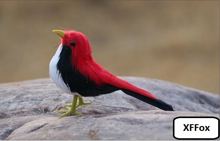 

Миниатюрная модель птицы из пенопласта и пуха, милая реальная жизнь Кукла птичка, подарок около 12 см xf2508