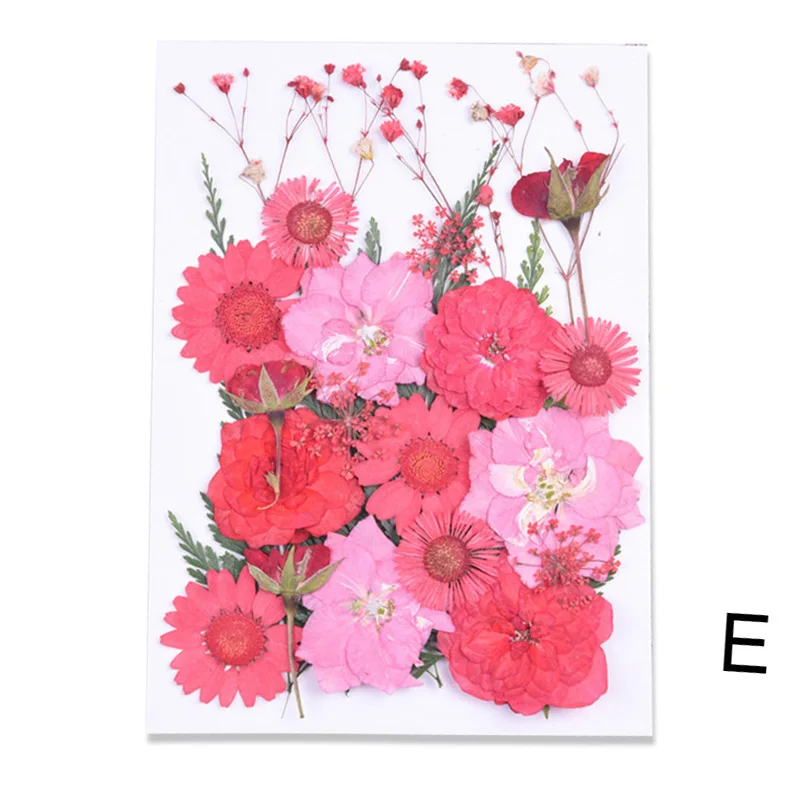 Сушеные цветы с прессованными цветами DIY художественные поделки скрапбукинг