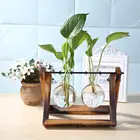Гидропоника вазы для растений, винтажный цветочный горшок, прозрачная ваза, деревянная рамка, стеклянные настольные растения, украшение для дома, бонсай