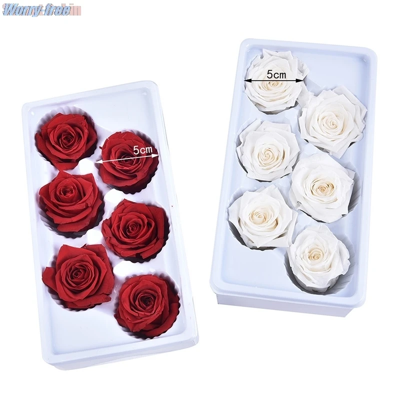 

6PCS/BOX 5-6cm Preserved Flowers Rose Flower Immortal Rose Valentine's Day Gift Eternal Life Flower Gift Wholesale Level B