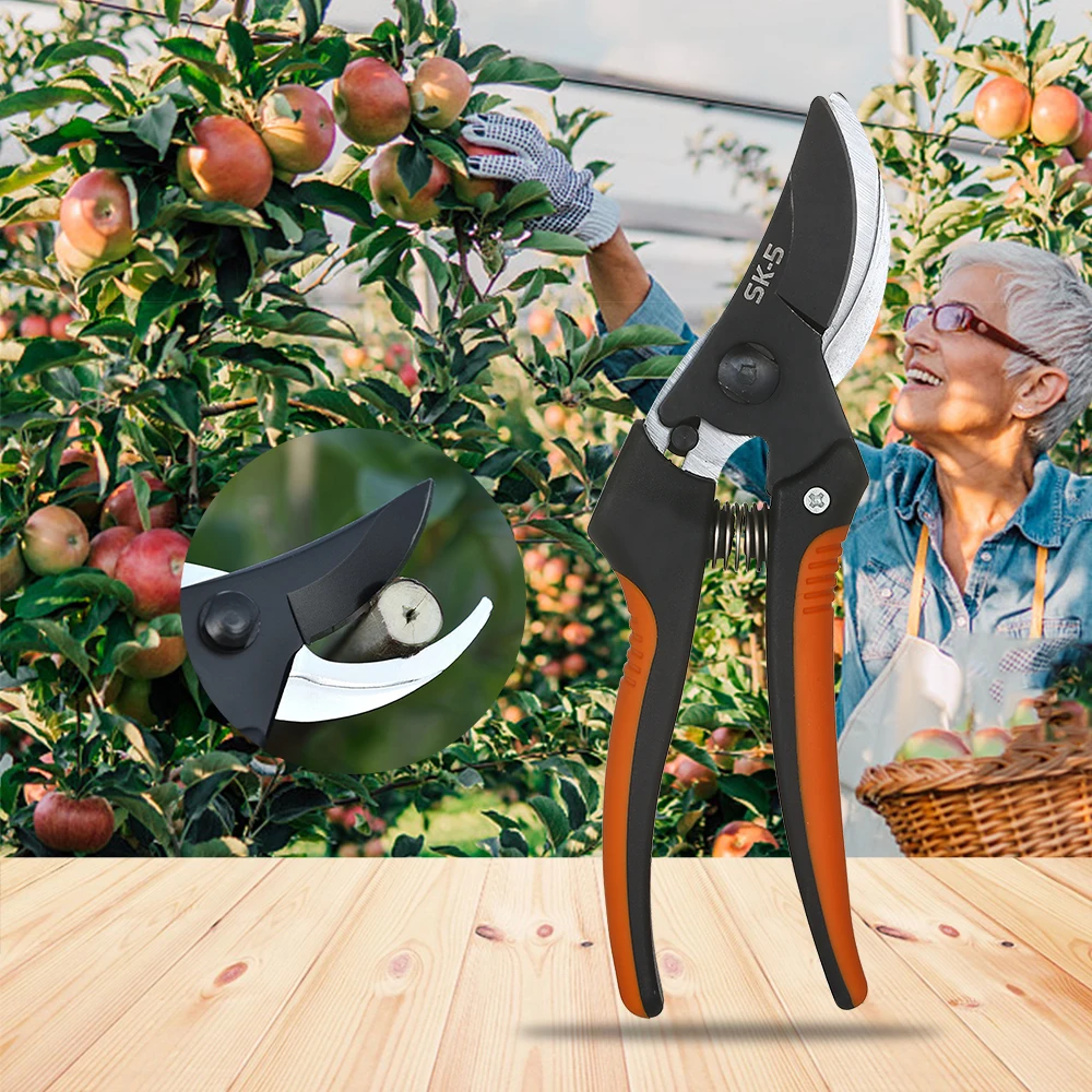 

Bypass Pruner Hand Pruning Shears Branch Trimmer Tree Limb Cutter Scecateur Gardening Tool with 1 Inch Cutting Capacity Pruner