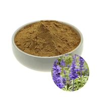 high quality ajuga turkestanica extract powder 101 powder